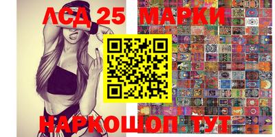 молекула духа Будённовск