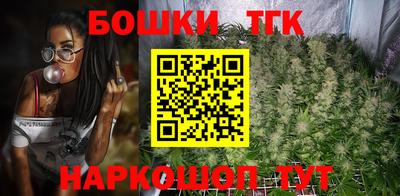 молекула духа Будённовск
